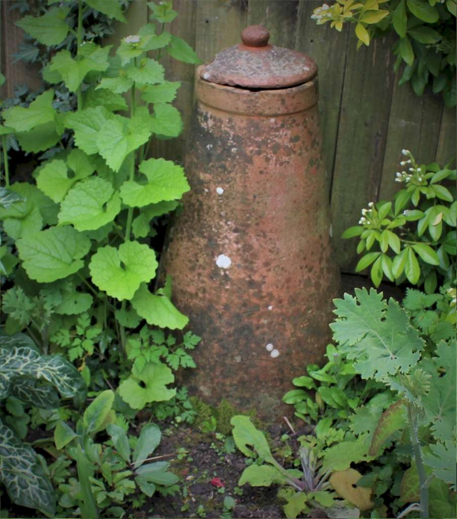 Antique garden terracotta rhubarb enforcer