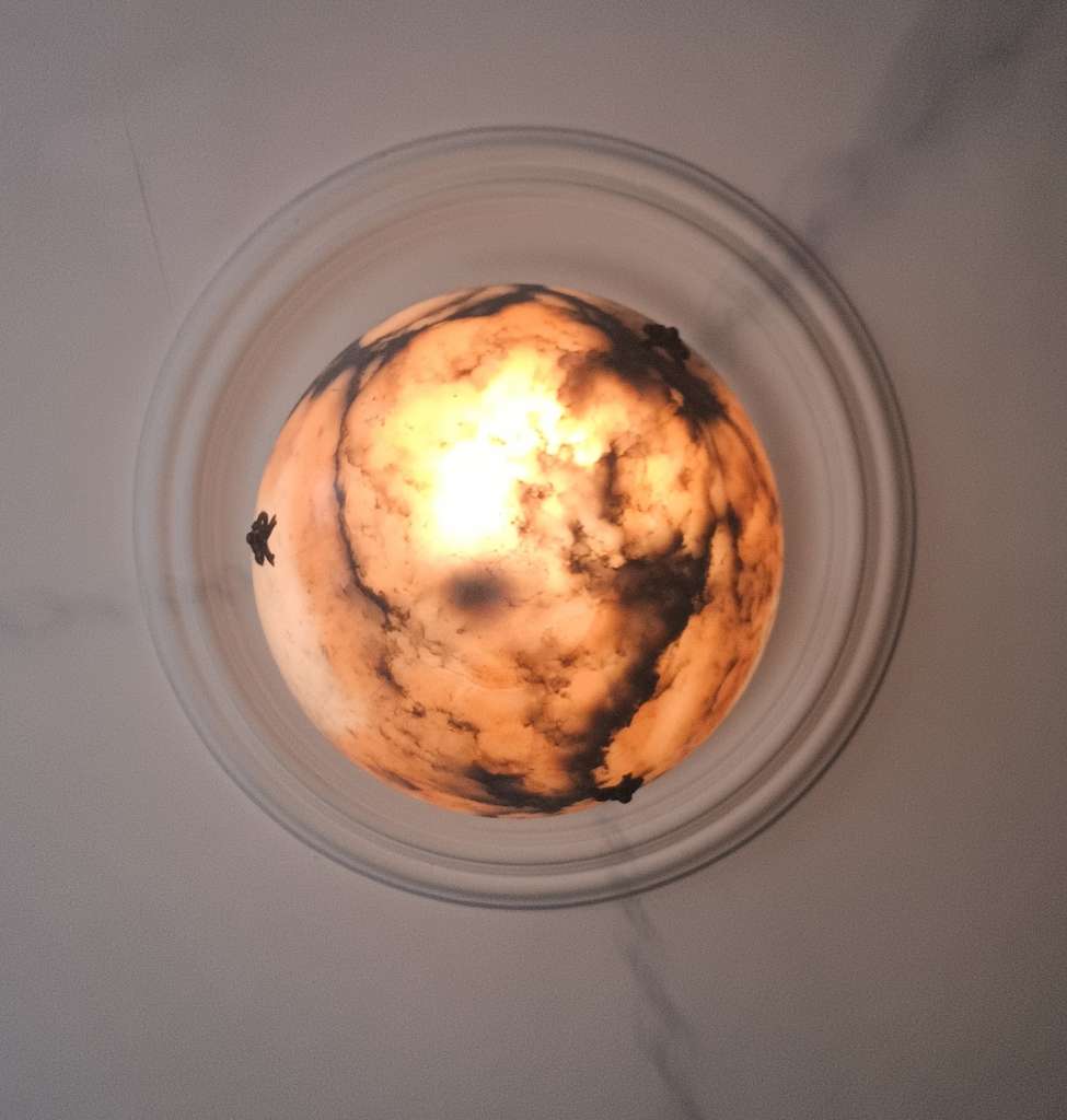 Alabaster ceiling shade with pinkish grain.