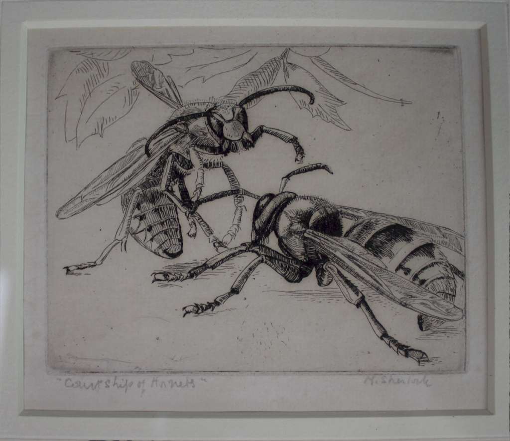 Signed etching by Marjorie Sherlock. Hornets.