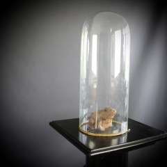 Victorian glass dome for display